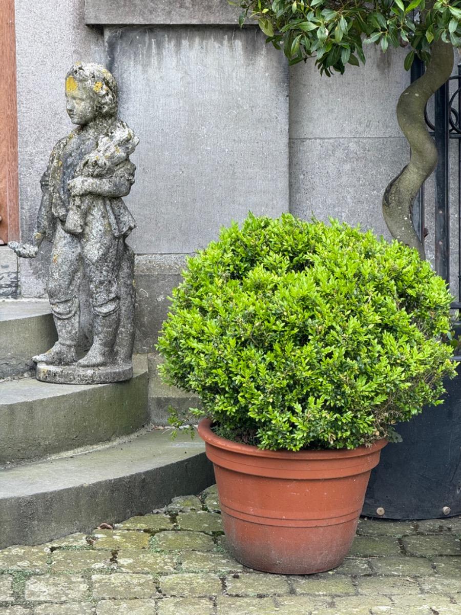 antique garden statue 