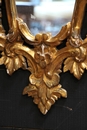 Regence style Gilt Wood Carved Italian Mirror