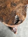 Vintage trunk coffee table with matching tabourets